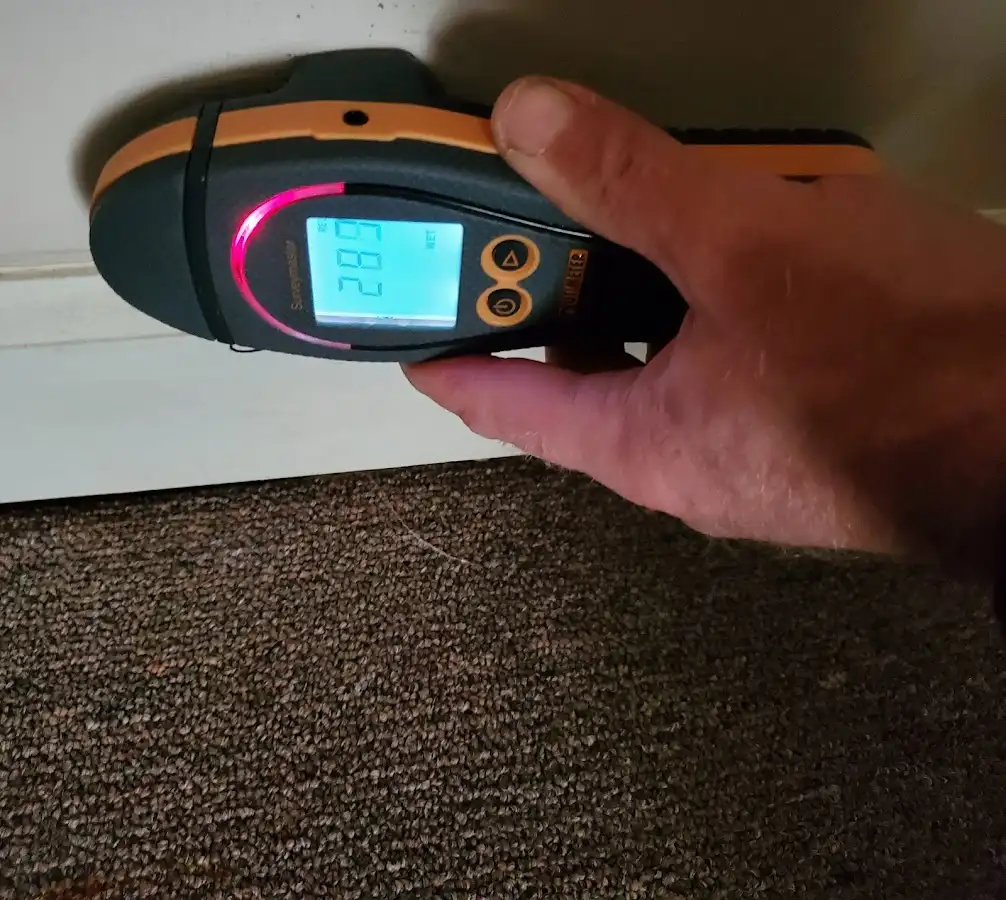 Moisture detection at baseboard during Sewage Cleanup & Sanitation in Montgomery Village